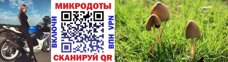 Галлюциногенные грибы Psilocybine cubensis  Старый Крым 